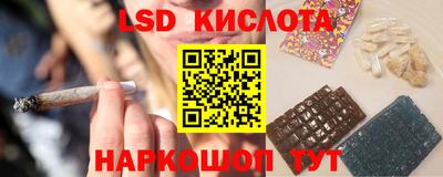 гидра Будённовск