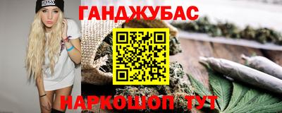 гидра Будённовск