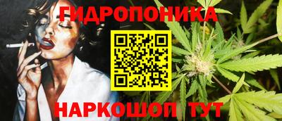 гидра Будённовск