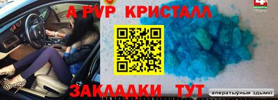 гидра Будённовск